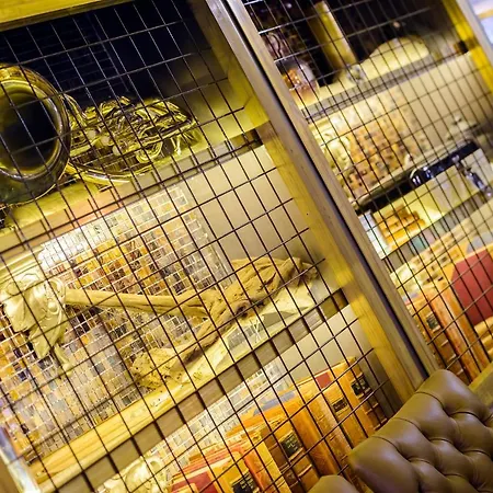 Dromhall فندق كيلارني