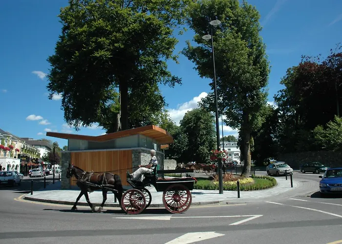 Отель Dromhall 4*